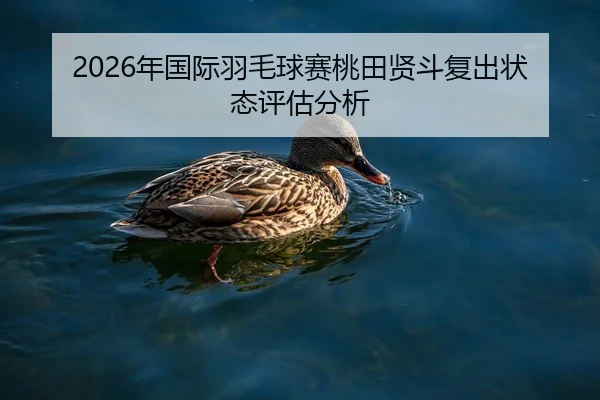 2026年国际羽毛球赛桃田贤斗复出状态评估分析