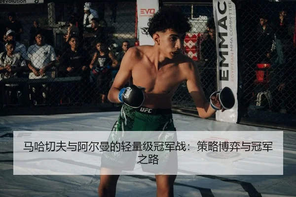ma-ha-qie-fu-yu-a-er-man-de-qing-liang-ji-guan-jun-zhan-ce-lve-bo-yi-yu-guan-jun-zhi-lu-3-270.jpg