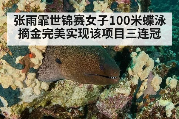 张雨霏世锦赛女子100米蝶泳摘金完美实现该项目三连冠