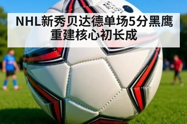 NHL新秀贝达德单场5分黑鹰重建核心初长成